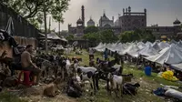 Kambing dipelihara untuk dijual di pasar ternak menjelang Idul Adha di New Delhi, India, Selasa, 5 Juli 2022. Umat Muslim di seluruh dunia merayakan Idul Adha, atau "Hari Raya Kurban," yang memperingati kisah Al Quran tentang kesediaan Nabi Ibrahim mengorbankan anaknya sebagai bentuk ketaatan kepada Allah SWT. (AP Photo/Altaf Qadri)