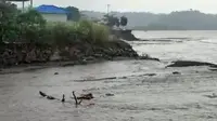 Abrasi yang terjadi di pesisir Pantai Amurang, Kabupaten Minahasa Selatan.