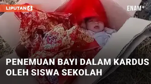 VIDEO: Viral Penemuan Bayi dalam Kardus oleh Siswa Sekolah di Kabupaten Semarang