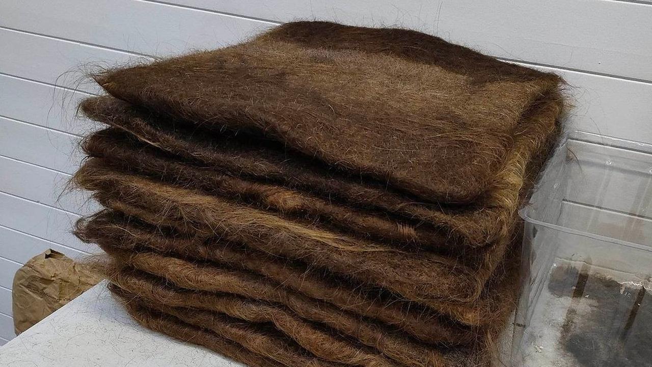 Keset Daur Ulang dari Rambut Manusia Untuk Bersihkan Saluran Air di Belgia