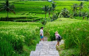 Desa Wisata Jatiluwih. (dok. Biro Komunikasi Publik Kemenparekraf)