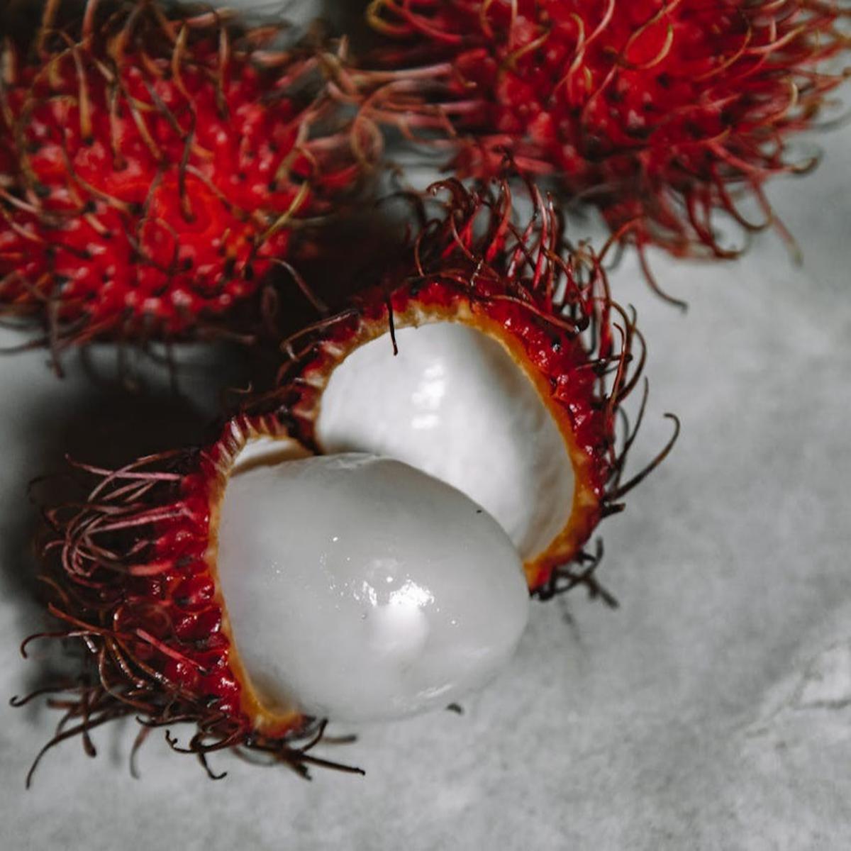 Ilustrasi Rambutan