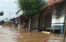 Waspada! 1.505 Warga Terdampak Banjir Cirebon di Tiga Kecamatan