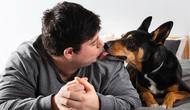 Why does my dog lick me so much? (Photo: Freepik)
