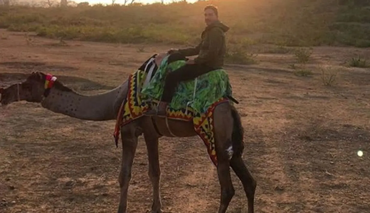 (Instagram/hamishdw)