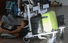 FOTO: Potret Bule 'Ngemper' di Bandara Ngurah Rai Imbas Letusan Gunung Lewotobi Laki-Laki