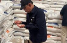 Masa Depan Industri Padi Indonesia: Transformasi BULOG sebagai Prime Mover Agribisnis Berkelanjutan