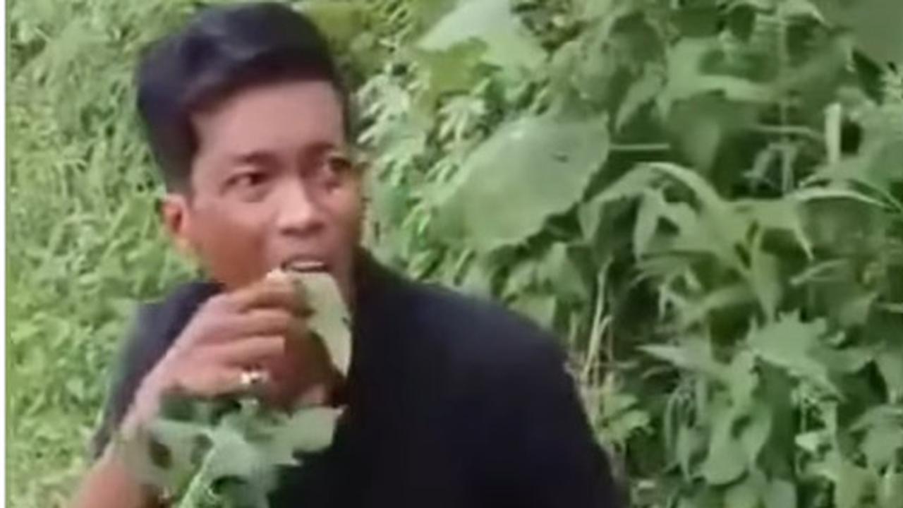Momen Pencuri Dipaksa Warga Makan Daun Pepaya: Pahit Bang