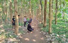 Viral! Kasus Begal Blitar di Hutan Jati: Korban Dianiaya hingga Luka Parah, Ini Kronologinya