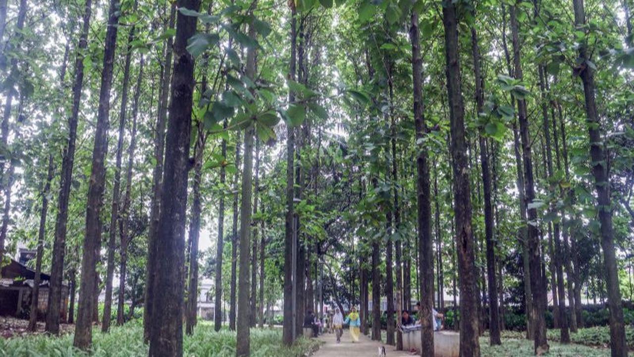 Bayu menyampaikan proses pembuatan taman sudah dimulai. Pembangunan 23 taman baru itu ditargetkan rampung pada Desember 2023.