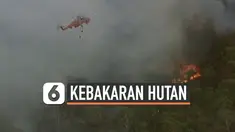 THUMBNAIL KEBAKARAN HUTAN