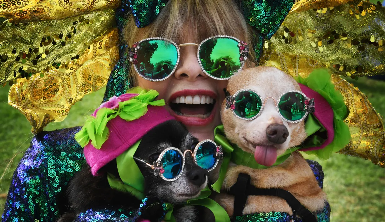 Lola dengan dua anjingnya, Wolfie dan Bear menunggu dimulainya parade tahunan Howl'oween Haute Dog di Long Beach, California, AS, Minggu (28/10). (Mark RALSTON/AFP)