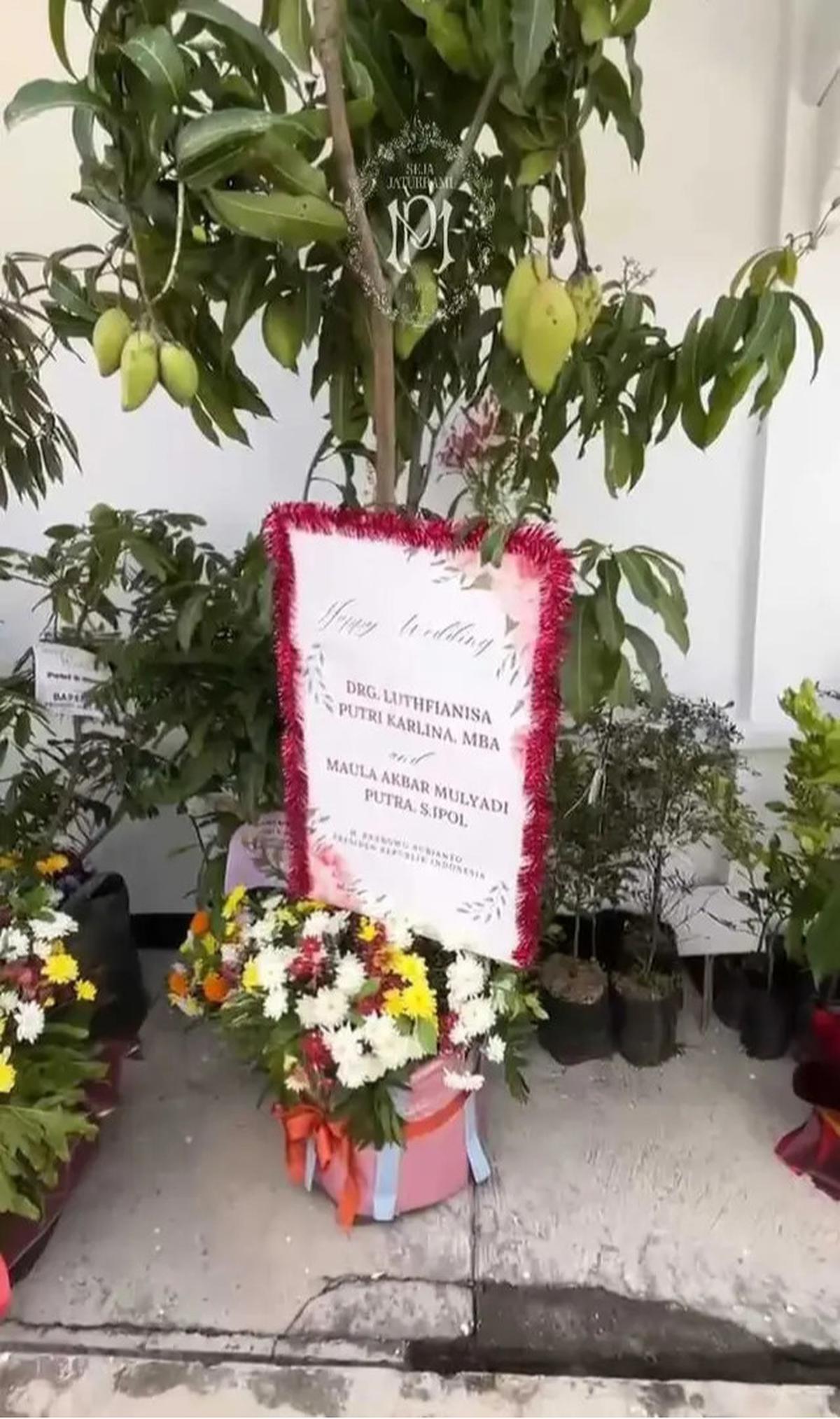 Kado Unik di Pernikahan Putri Karlina Menantu Dedi Mulyadi, Bukan Karangan Bunga