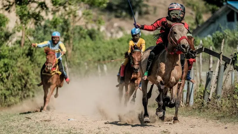 Kejuaraan Pacuan Kuda di Pasuruan Batal Digelar Imbas Wabah PMK