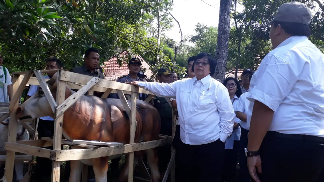 Jokowi Akan Bagikan 50 Ribu Hektar Lahan Hutan Sosial ke Warga Sumsel
