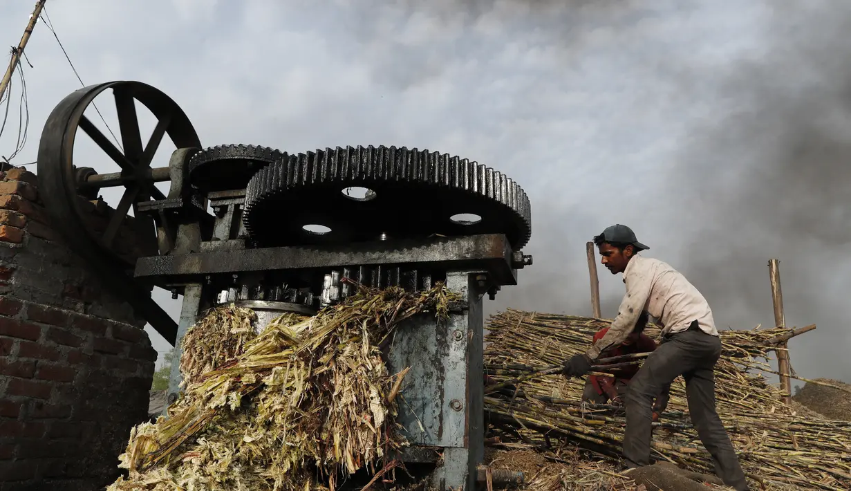 Seorang pria bekerja di pabrik jaggery di pinggiran Bareilly, India, Selasa (23/3/2021).  Jaggery adalah gula tradisional yang tidak dimurnikan yang dikonsumsi di banyak bagian Asia, terbuat dari molase tebu dan nira kurma. (AP Photo/Rajesh Kumar Singh)