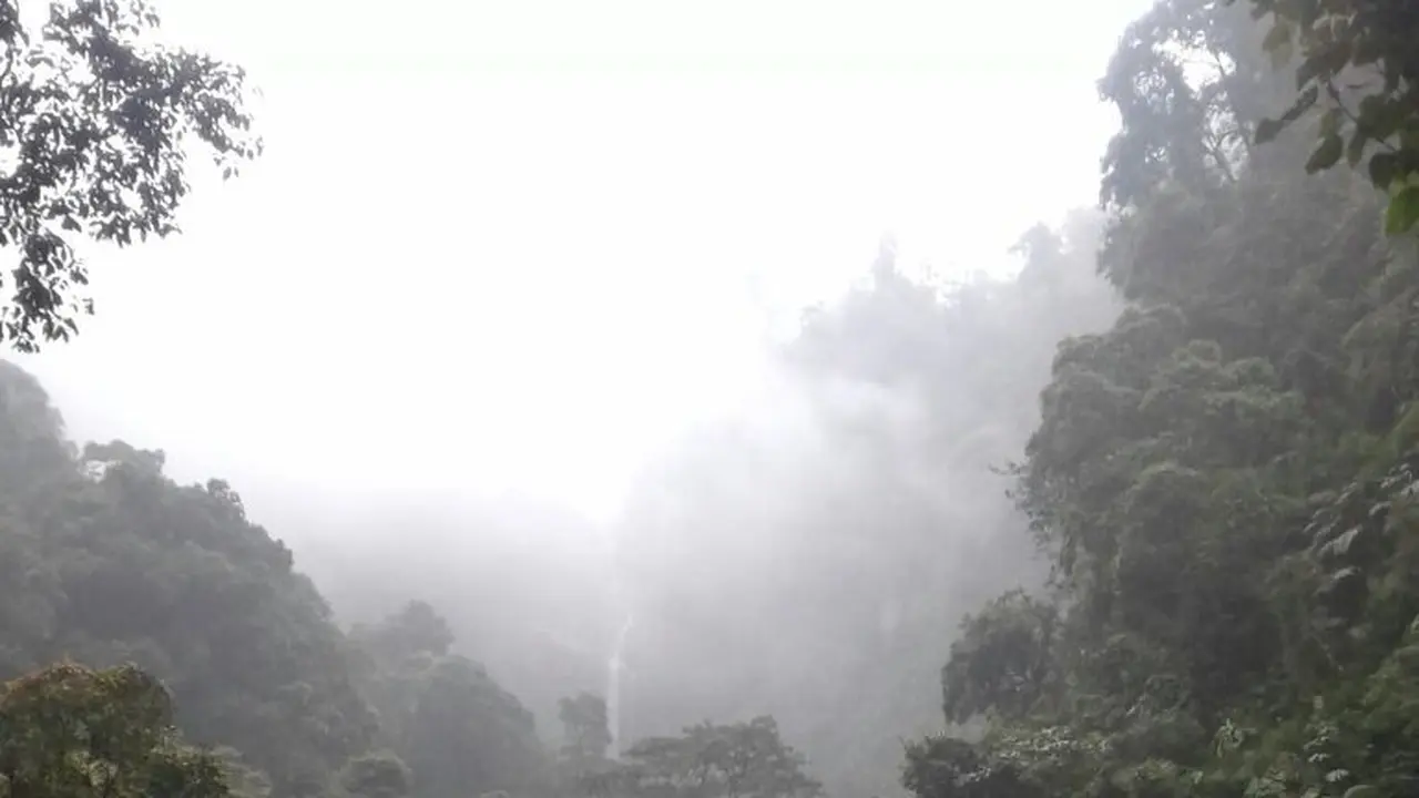 Taman Nasional Halimun Salak