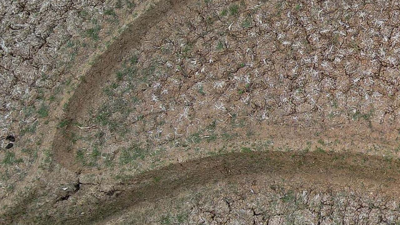 FOTO: Potret Dampak Kemarau Panjang di Kabupaten Bekasi, Sawah Kering Kerontang hingga Warga Berebut Air