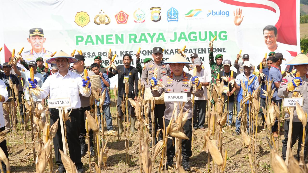 Kementan Siapkan Rp5 Triliun untuk Beli Satu Juta Ton Jagung Petani