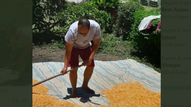 antan Kepala Bagian Perancangan Peraturan dan Produk Hukum pada Biro Hukum Komisi Pemberantasan Korupsi (KPK) Rasamala Aritonang
