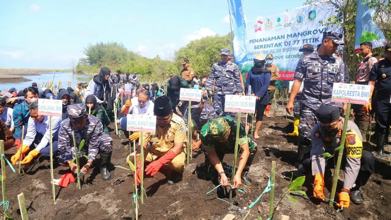 Penanaman 3500 mangrove di Pantai cemara oleh forkopimda Banyuwangi (Istimewa)