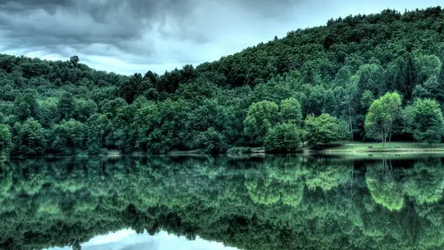 10 Negara dengan Kawasan Hutan atau Tanah Terbesar, Indonesia?