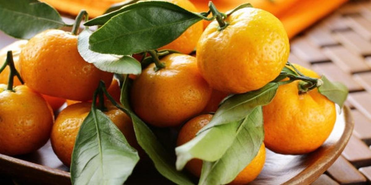 Jeruk mandarin