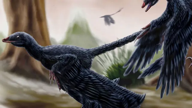 microraptor