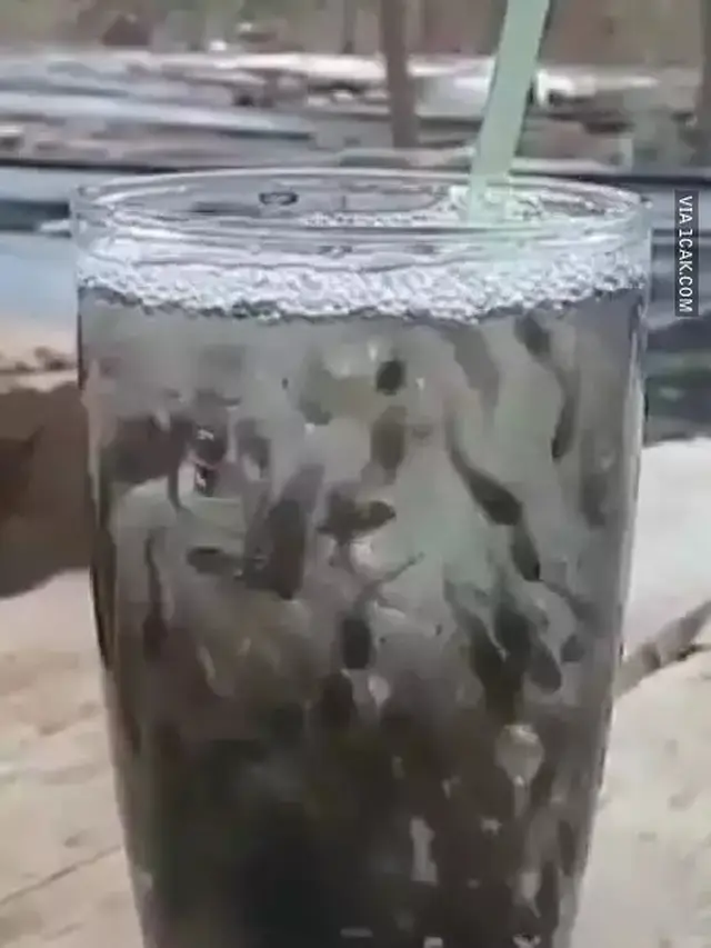 6 Potret Minuman Boba Nyeleneh Ini Bikin Tepuk Jidat,