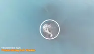 Daratan Baru Seluas 30,3 Hektare Muncul di Dekat Anak Krakatau, Benarkah 'Cucu' Krakatau?