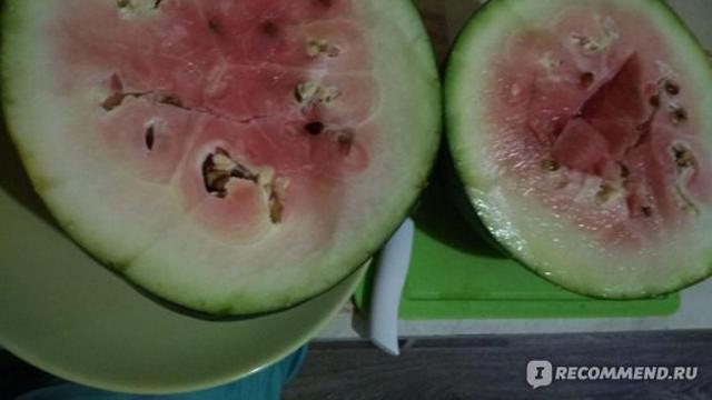 6 Momen Apes saat Mau Makan Semangka Ini Bikin Geregetan