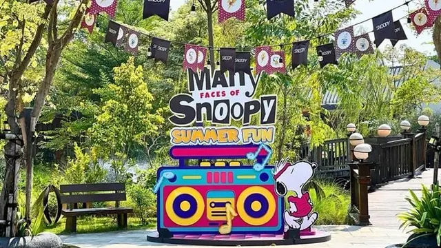 Snoopy Run
