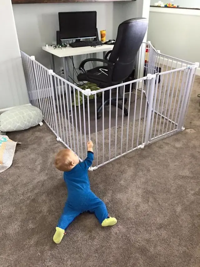 Anak Kecil Lucu