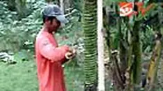 liputan6