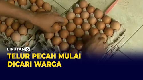 VIDEO: Dampak Telur Ayam Mahal, Warga kini Cari Telur yang Pecah