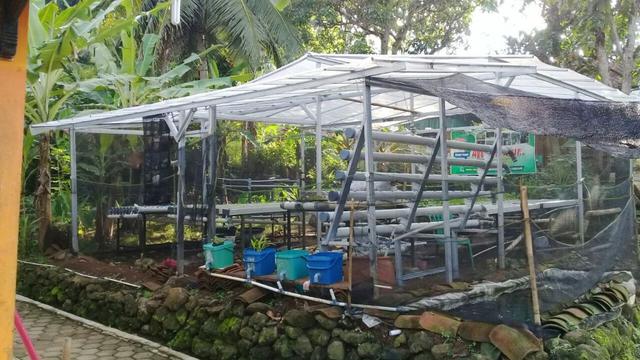 Pertanian hidroponik tak butuhkan lahan luas. (Foto: Liputan6.com/Muhamad Ridlo)