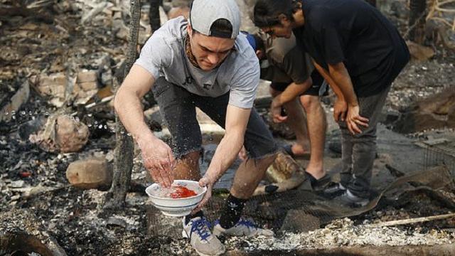 Beberapa ikan mas terlihat sakit dan lemah tak berdaya karena harus berenang di dalam air yang bercampur dengan abu (AP)