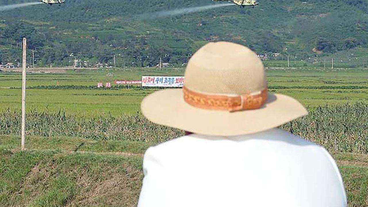 FOTO: Bukan Buat Perang, Kim Jong-un Kerahkan Pesawat Militer untuk Siramkan Pestisida di Sawah