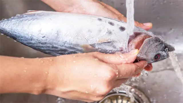 Cara Membersihkan Sisik Ikan