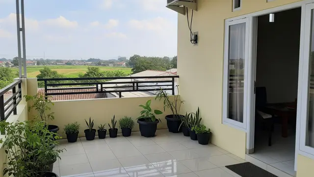 Mengatur Pola Penyiraman dan Pencahayaan