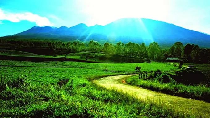 5 Fakta Unik Kota Malang yang Bikin Kangen untuk Kembali