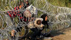 Imigran Suriah berusaha melewati pagar berduri di wilayah Hungaria dekat perbatasan Serbia, wilayah Roszke, Kamis (27/8/2015). Pemerintah Hungaria berencana untuk memperketat perbatasan bagian selatannya dari para pengungsi. (REUTERS/Bernadett Szabo)