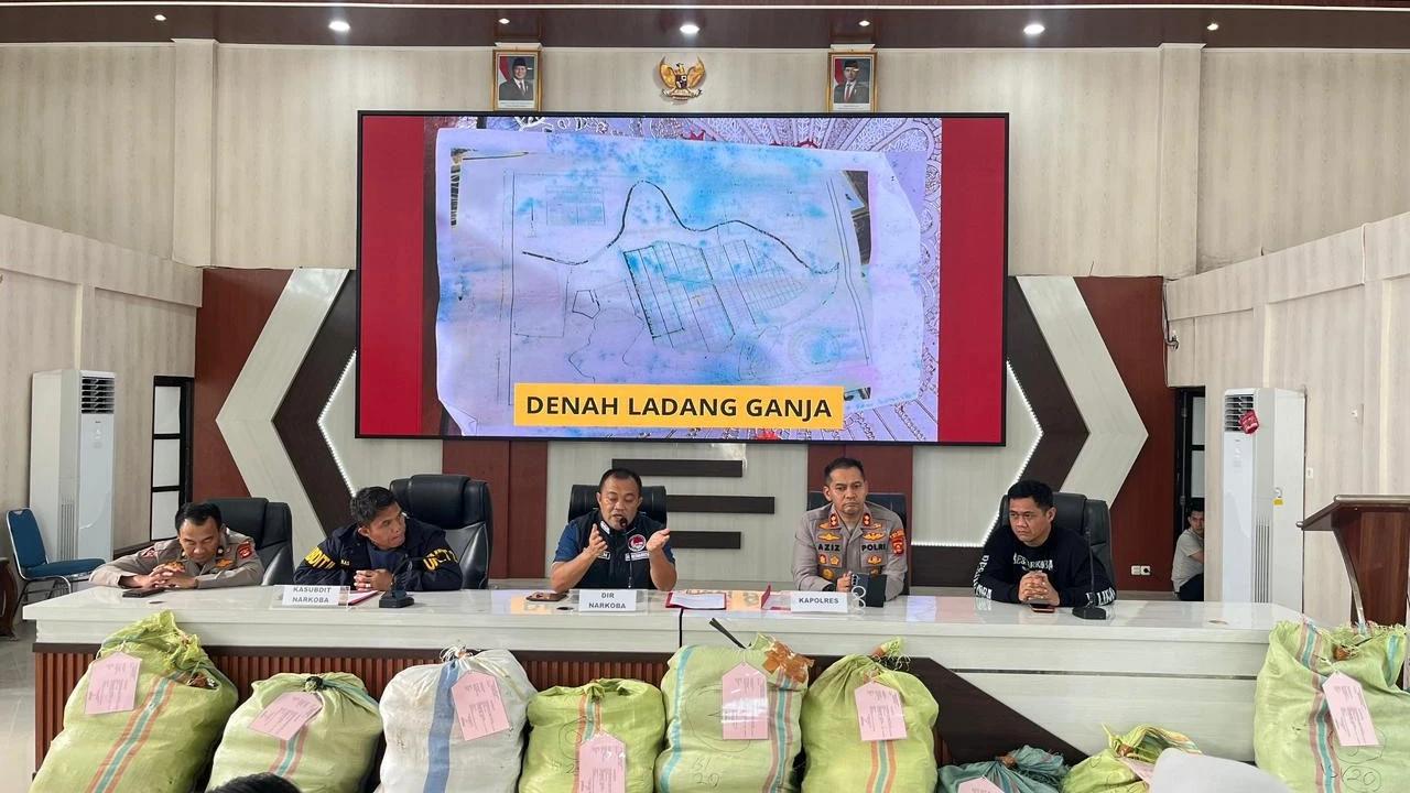 FOTO: Polda Sumsel Bongkar Ladang Ganja 20 Hektar di Empat Lawang