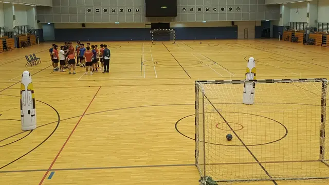 Timnas bola tangan Hong Kong