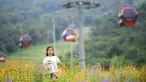 Seorang anak bermain di ladang bunga yang ada di sebuah kawasan resor di Kota Jilin, Provinsi Jilin, China, 19 Juli 2020. Arena ski di kawasan resor itu diubah menjadi ladang bunga, seluncuran dan beragam proyek pariwisata rekreasi lainnya guna menarik wisatawan pada musim panas. (Xinhua/Yan Linyun)