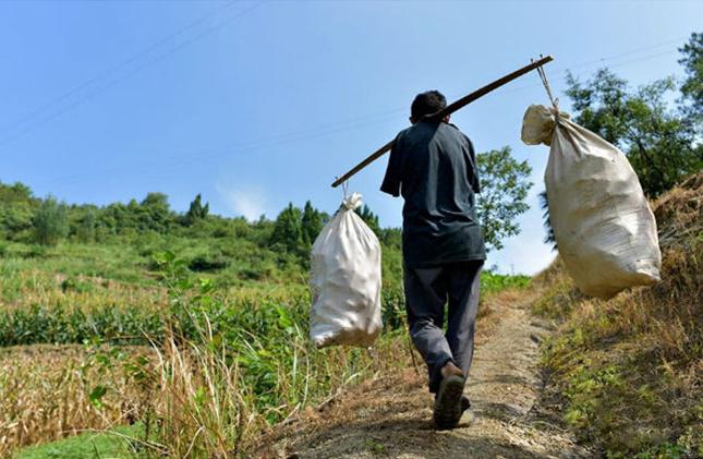 Xingyin hendak pergi ke kebun dan bekerja | Photo: Copyright boldsky.com