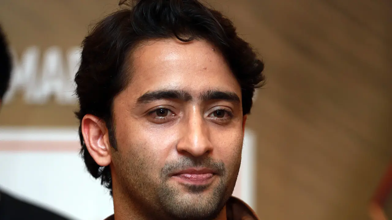 [Bintang] Shaheer Sheikh Rindu Masakan Padang, Rela Berkunjung ke Indonesia