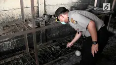 Tim DVI akan kembali menyisir lokasi kebakaran dan ledakan pabrik kembang api di Kosambi Kabupaten Tangerang.