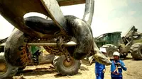 Muncul Anaconda raksasa seberat 400 kilogram dan panjang mencapai 10 meter.