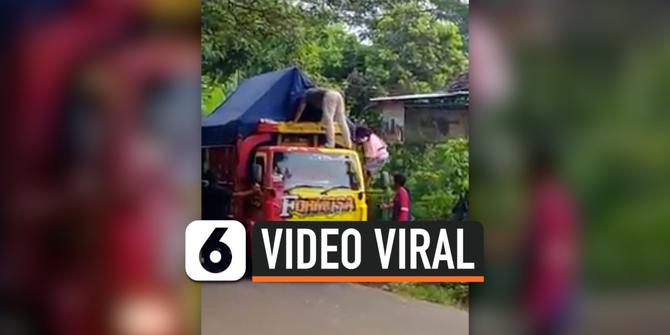 VIDEO: Viral, Begini Akal-Akalan Pemudik Agar Bisa Pulang ke Kampung